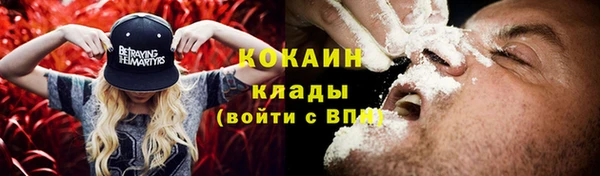 ALPHA PVP Костерёво