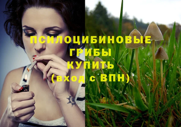 ALPHA PVP Костерёво