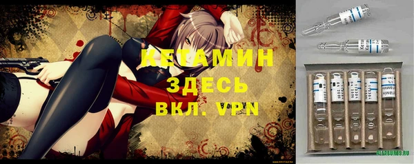 шишки Краснотурьинск