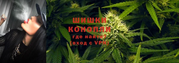 ALPHA PVP Костерёво