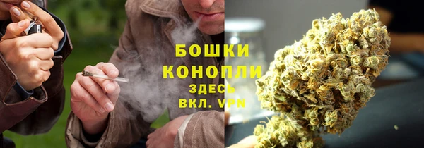 дмт Краснослободск