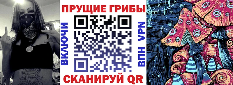 Купить  Бирюсинск  Галлюциногенные грибы прущие грибы 